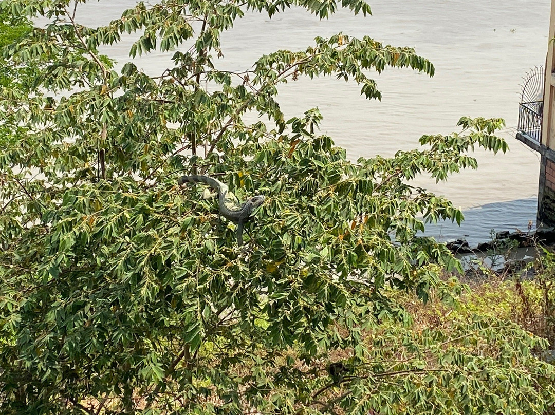 Black Castle Guesthouse主图