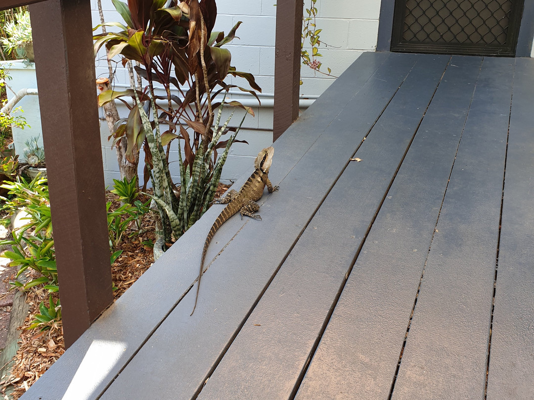 Grey Gum Lodge主图