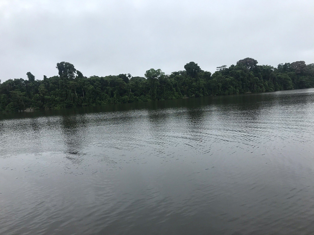 Tambopata National Reserve景点图片