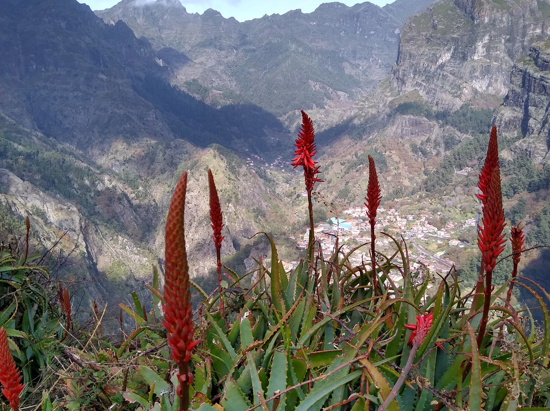 Pearl of the Atlantic Madeira-沙尔必去景点
