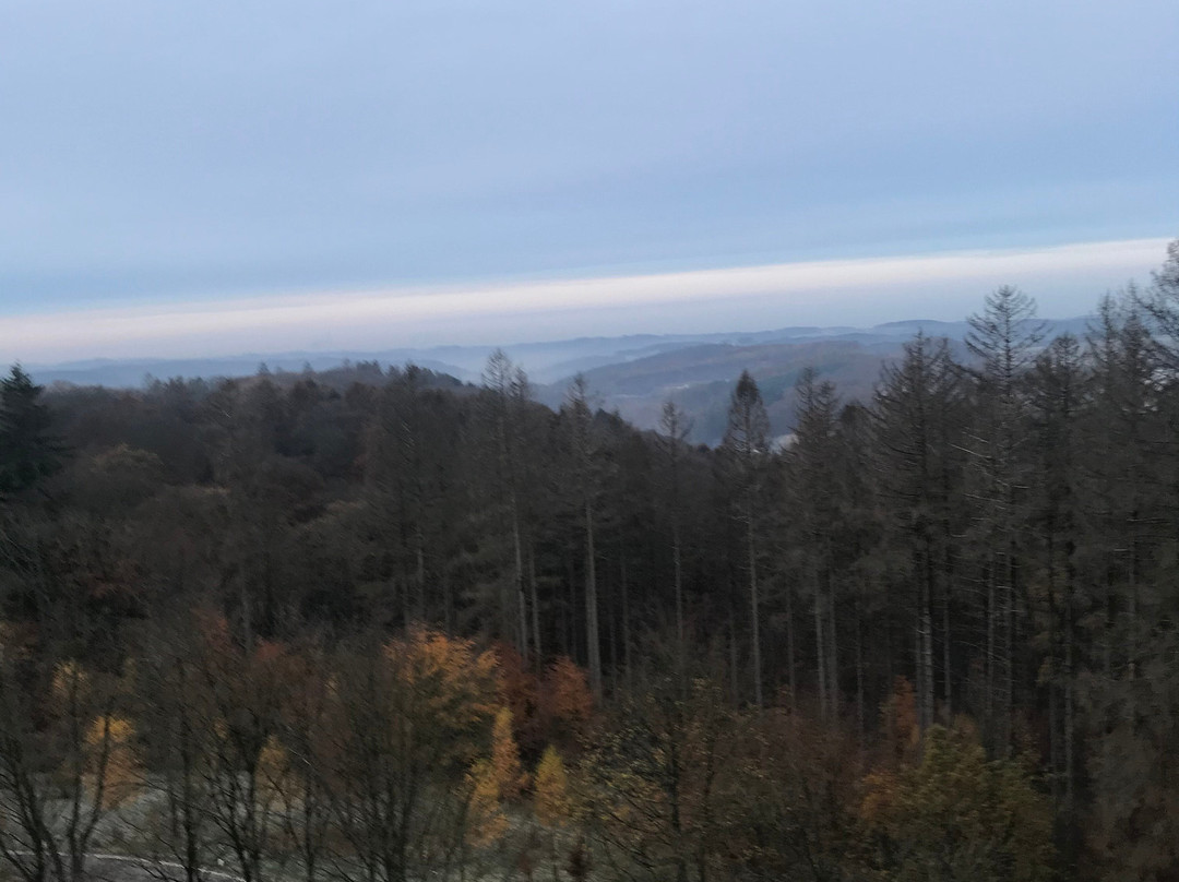 吕登沙伊德美居酒店主图