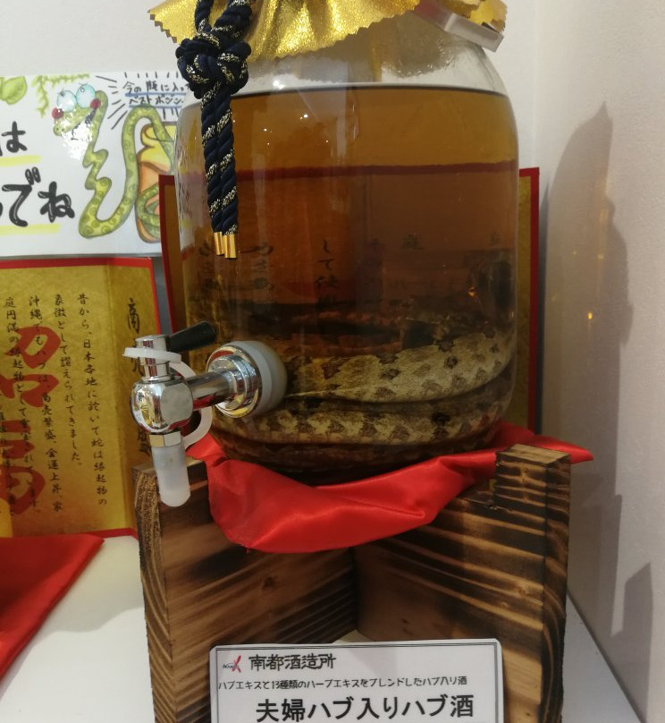 冲绳儿童王国-冲绳市必去景点