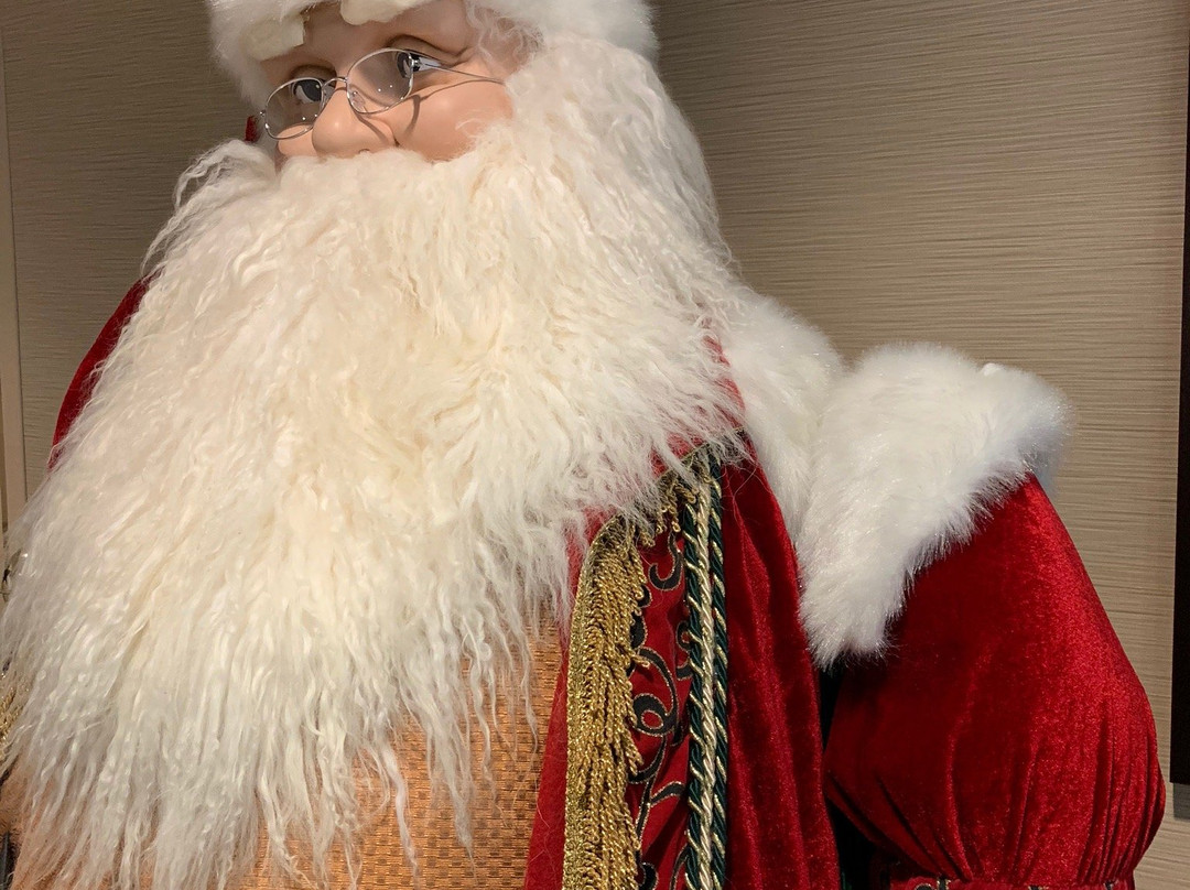 Comfort Inn & Suites Lynchburg Airport - University Area主图