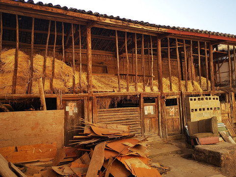 Trippest Travel-大理市必去景点