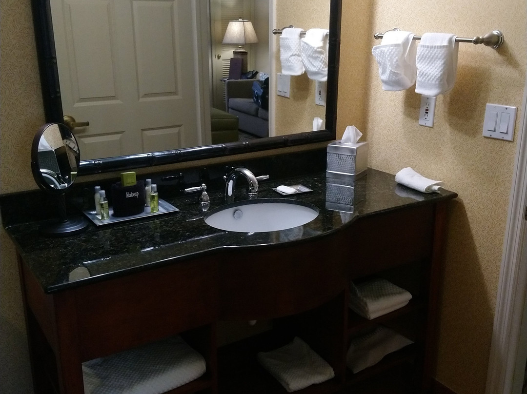 那不勒斯希尔顿逸林酒店主图