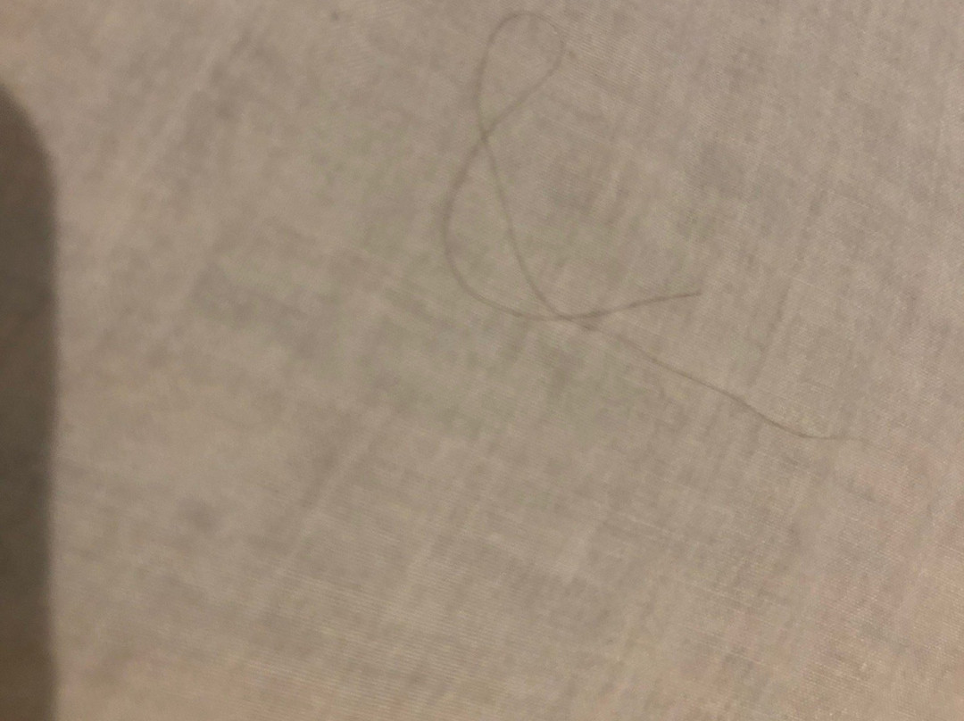 Hostal Restaurante la Trucha主图