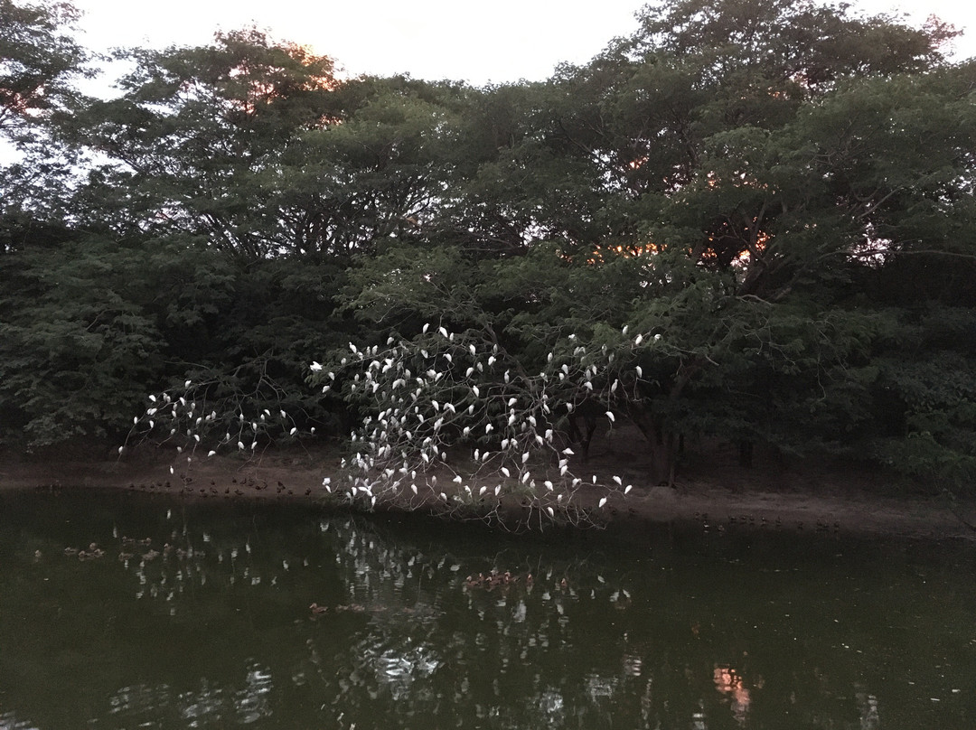 Best Western El Sitio Hotel主图