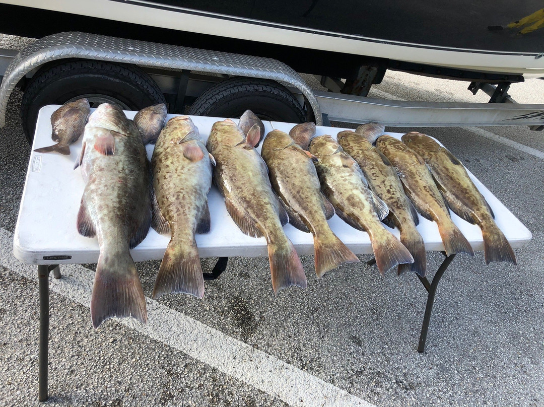 Salty D's Charters-Weeki Wachee必去景点