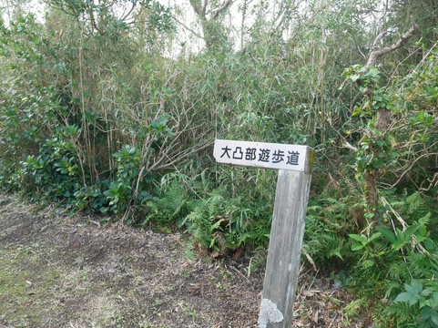 Otombu-青岛村必去景点