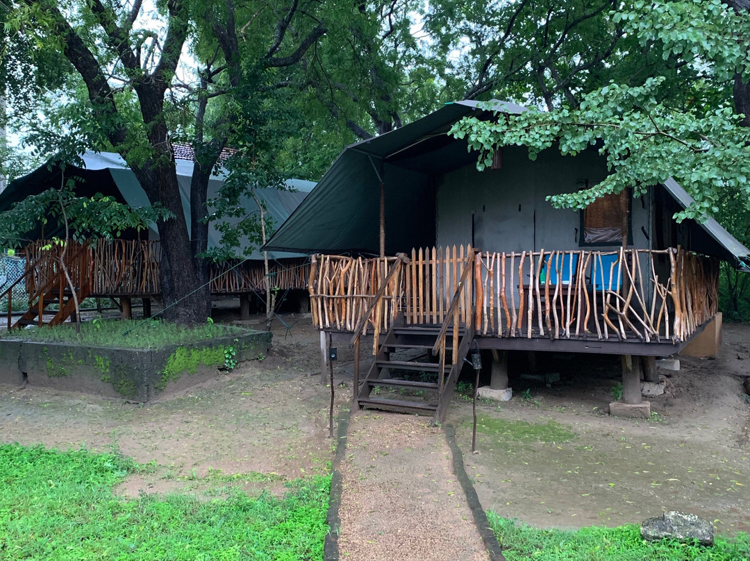 Camp Leopard - Yala Safari Glamping主图