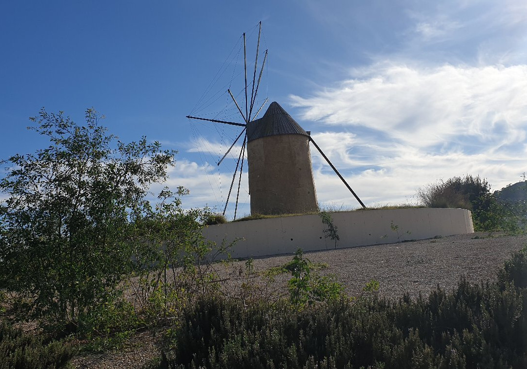 Molino de Los Camachos-Torre-Pacheco必去景点