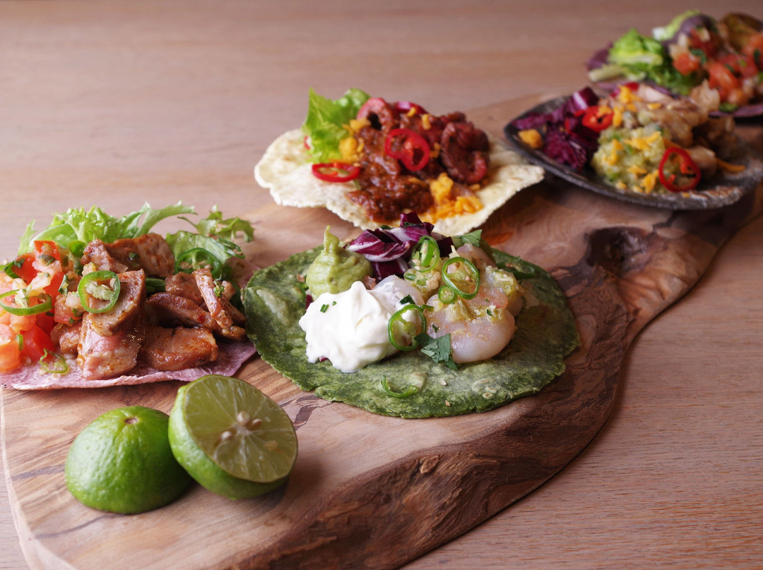 モダンメキシカン マヤルス