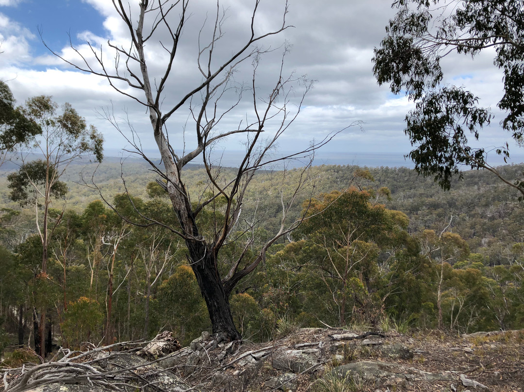 Vertigo MTB-Derby必去景点