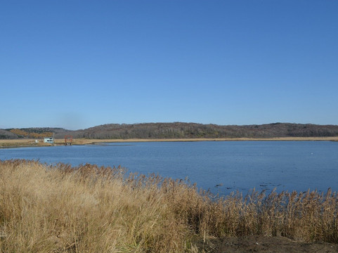Poroto Swamp-滨中町必去景点