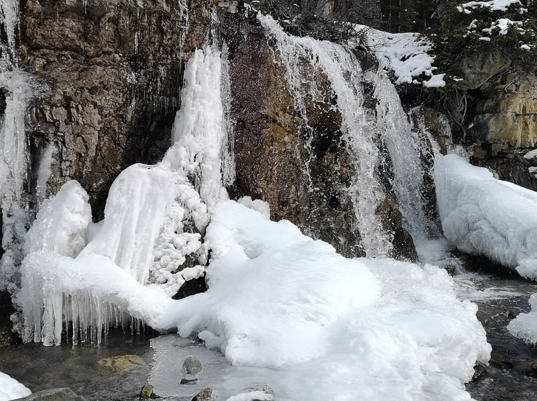 Tangle Creek Falls-贾斯珀国家公园必去景点