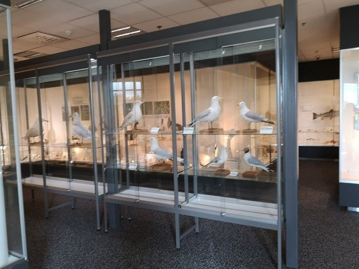 Natural History Museum of Kopavogur-科帕伏古必去景点