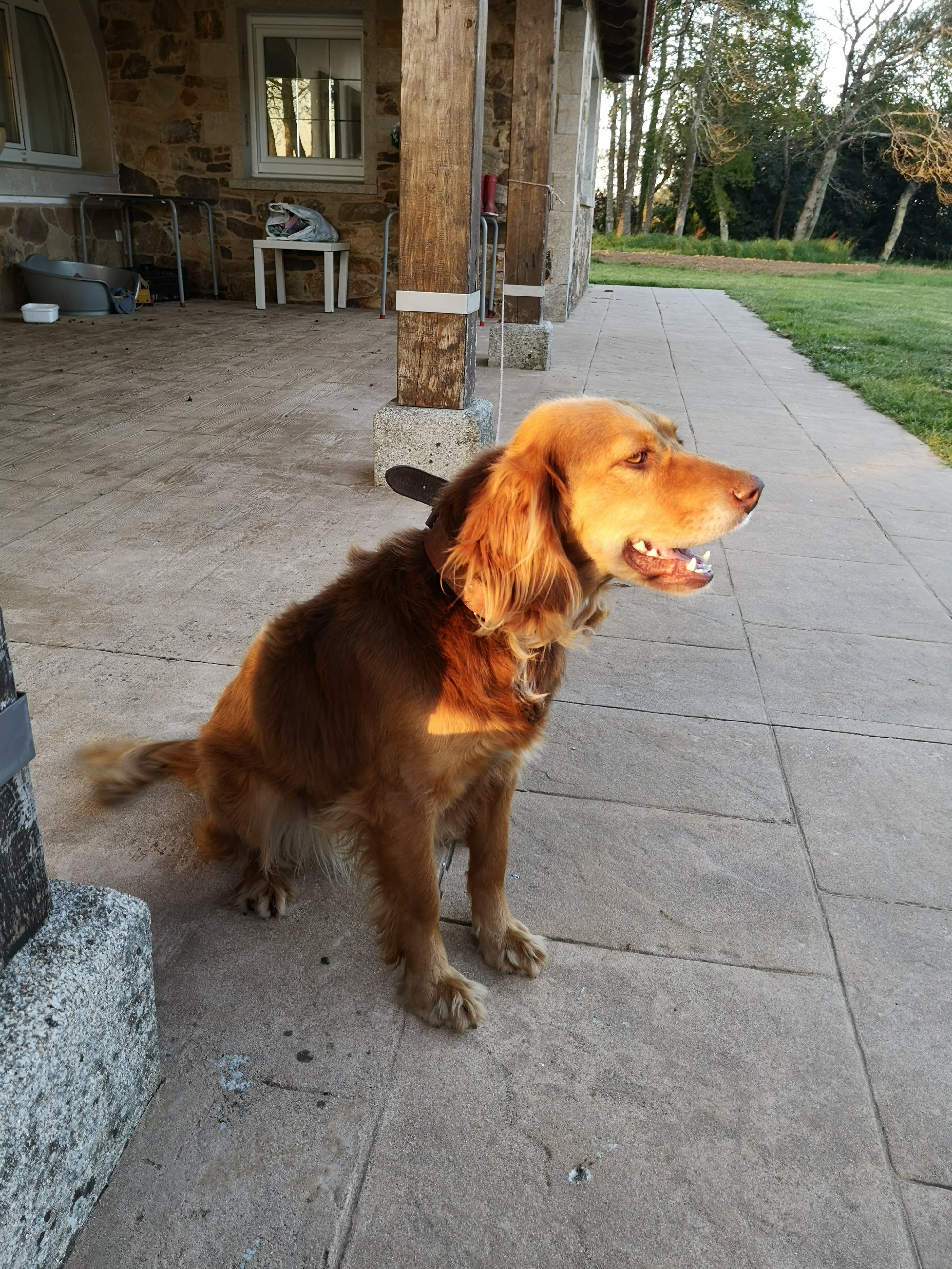 Hotel Pazo do Souto-portrait