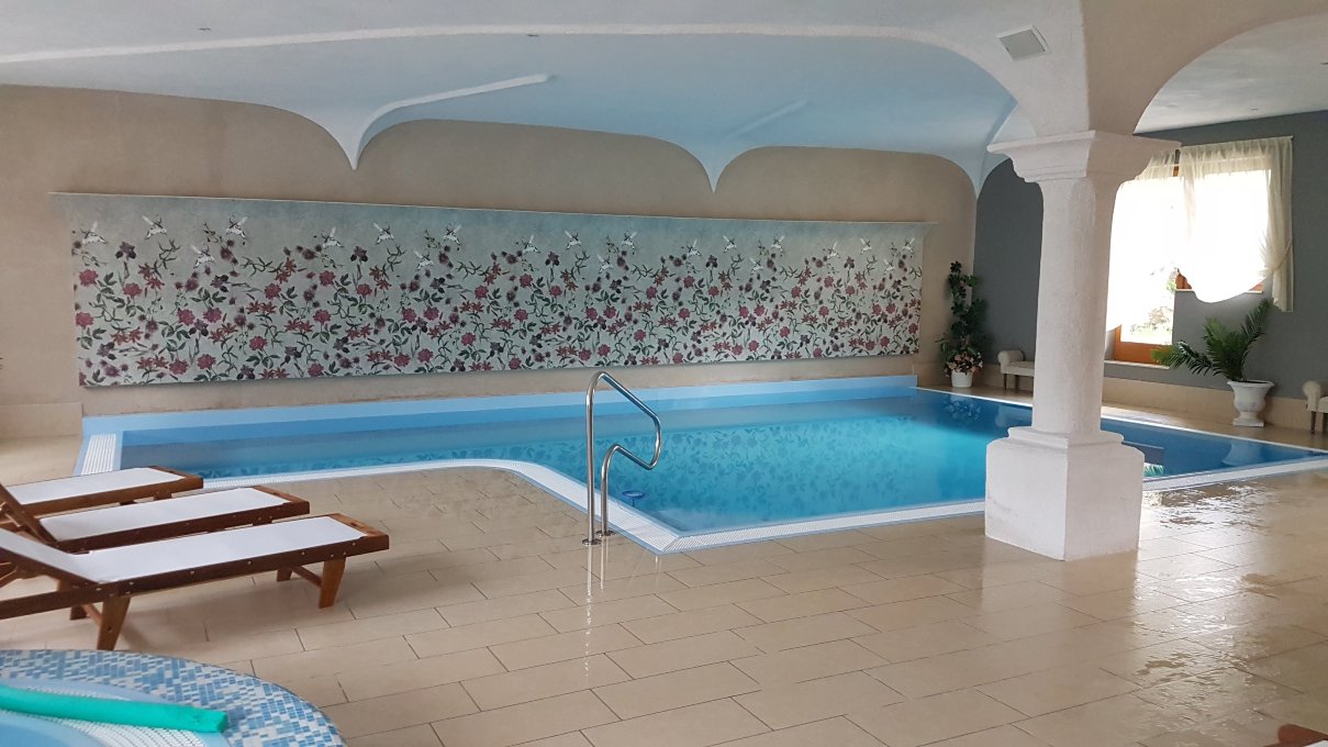 Laguscei Dolomites Mountain Hotel-泳池
