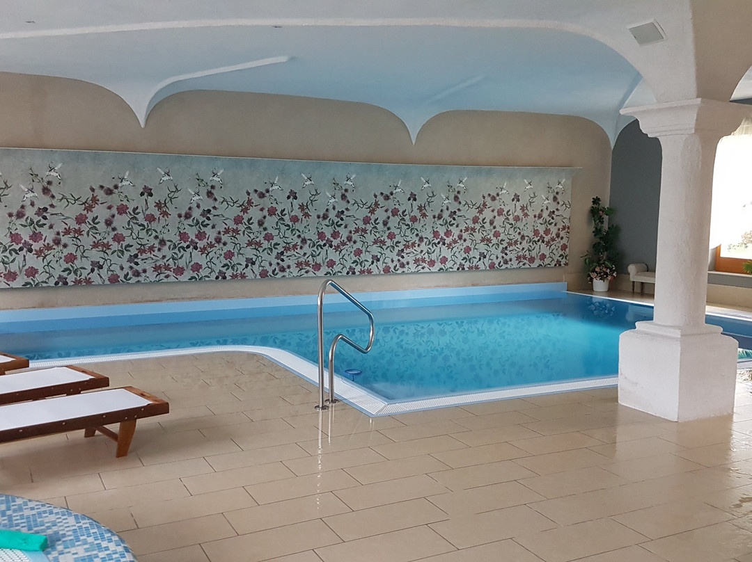 Laguscei Dolomites Mountain Hotel主图
