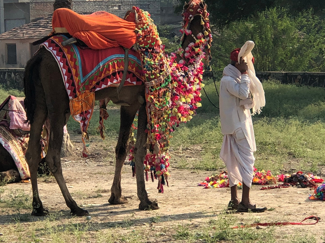 Pratapgarh Haveli主图