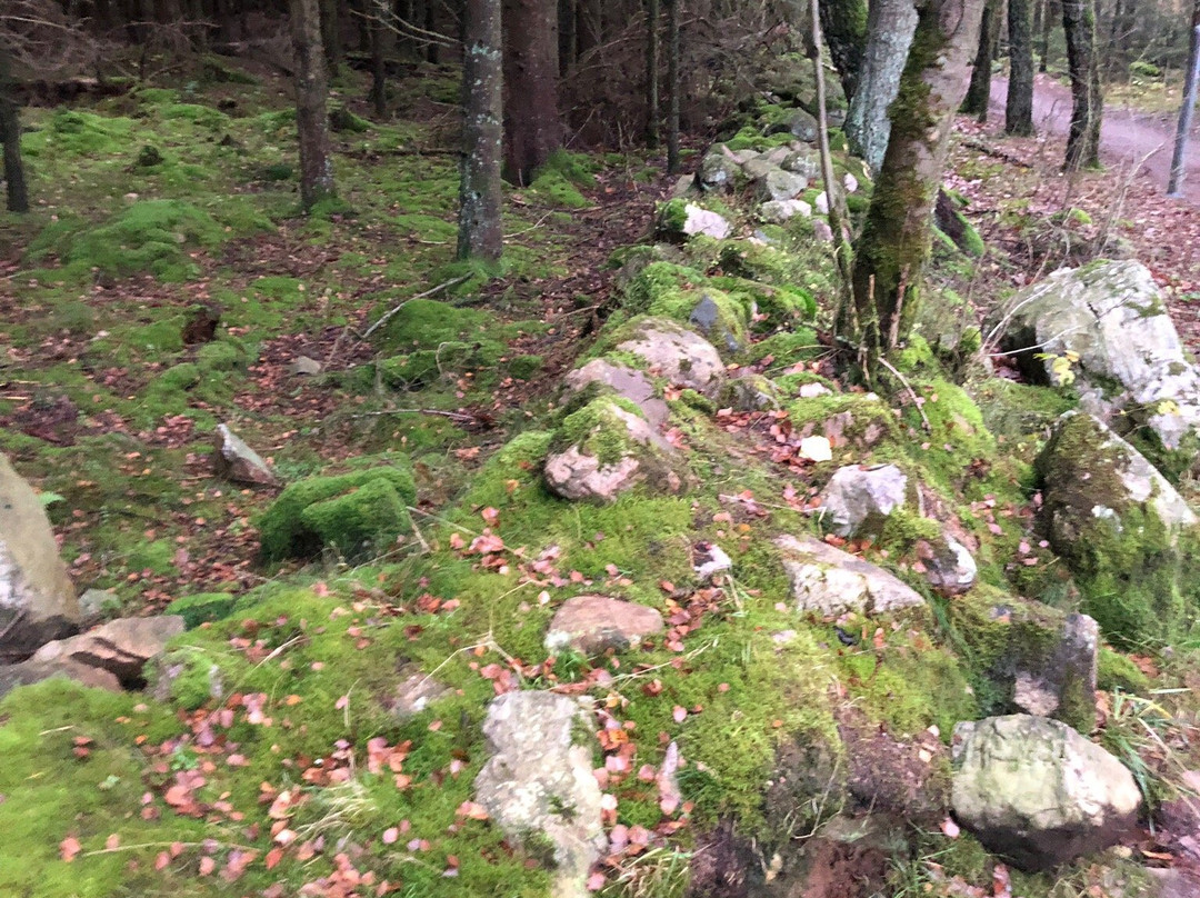 Skrylle Nature reserve-隆德必去景点