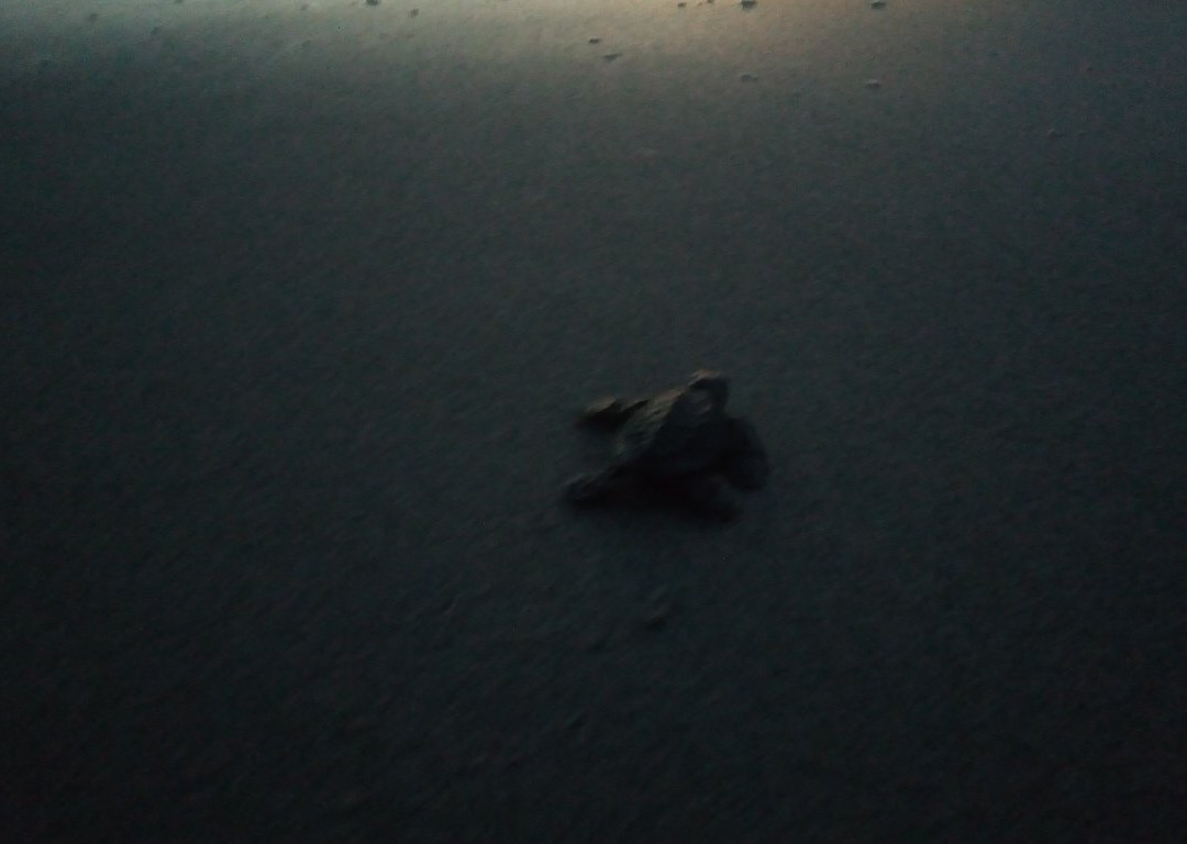 Hostal Casa Amarilla主图