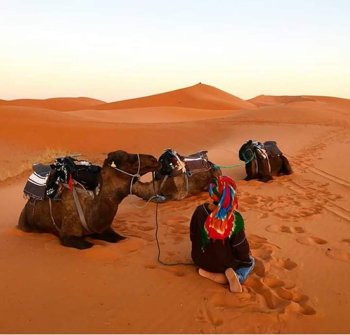 Amazing Trips in Morocco-梅如卡必去景点