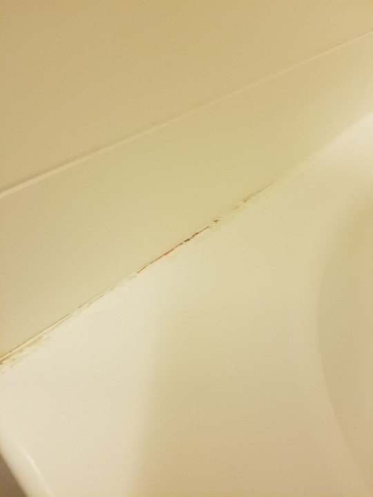 Okatie Hilton Head Hotel主图