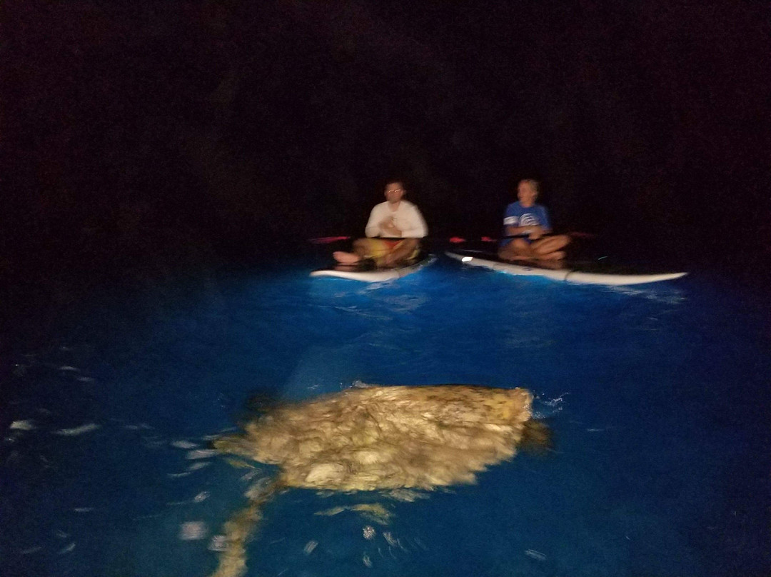 Glow SUP Maui-Makena必去景点