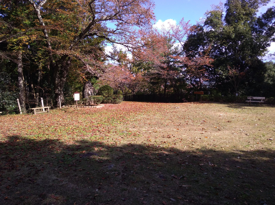 Soil Stage景点图片