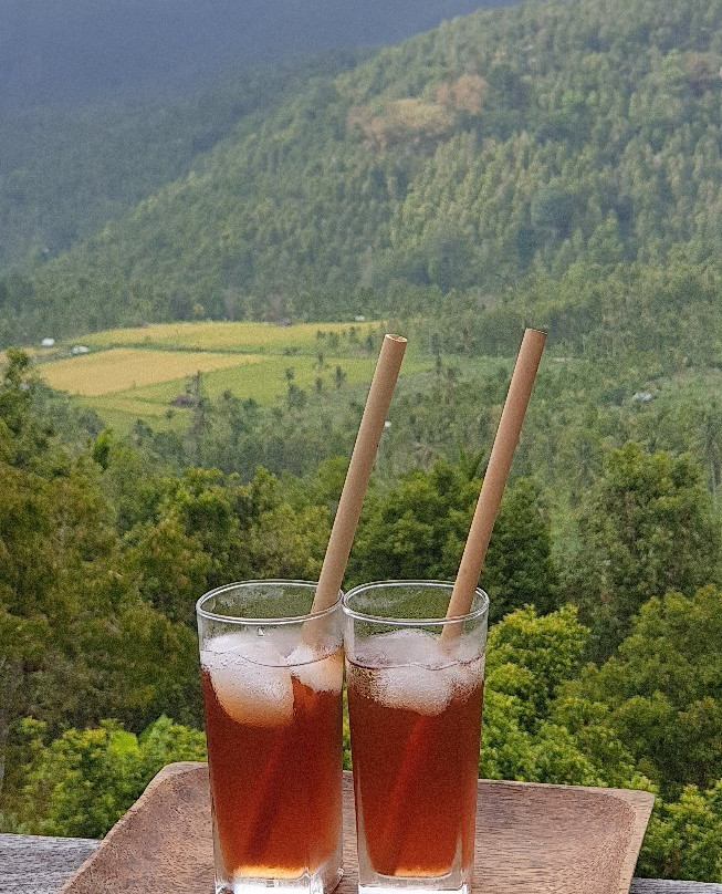 Swar Bali Lodge主图