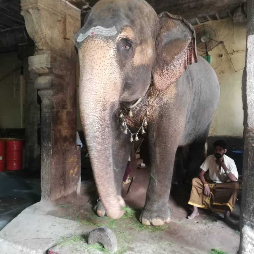 Ucchi Pillayar Temple-泰米尔纳德邦必去景点