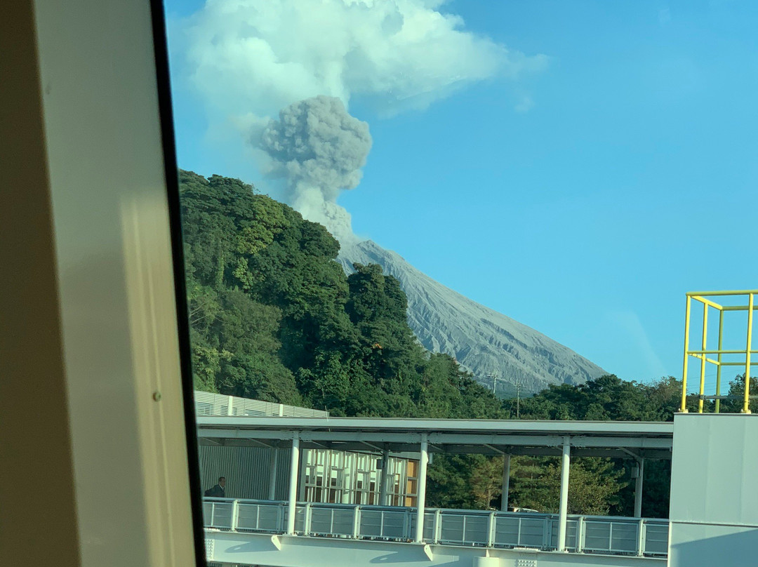 Sakurajima Nature Dinosaur Park景点图片