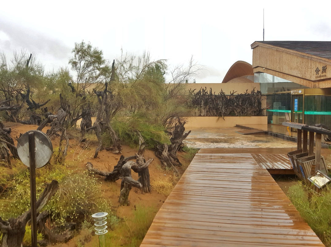 月亮湖-阿拉善左旗必去景点