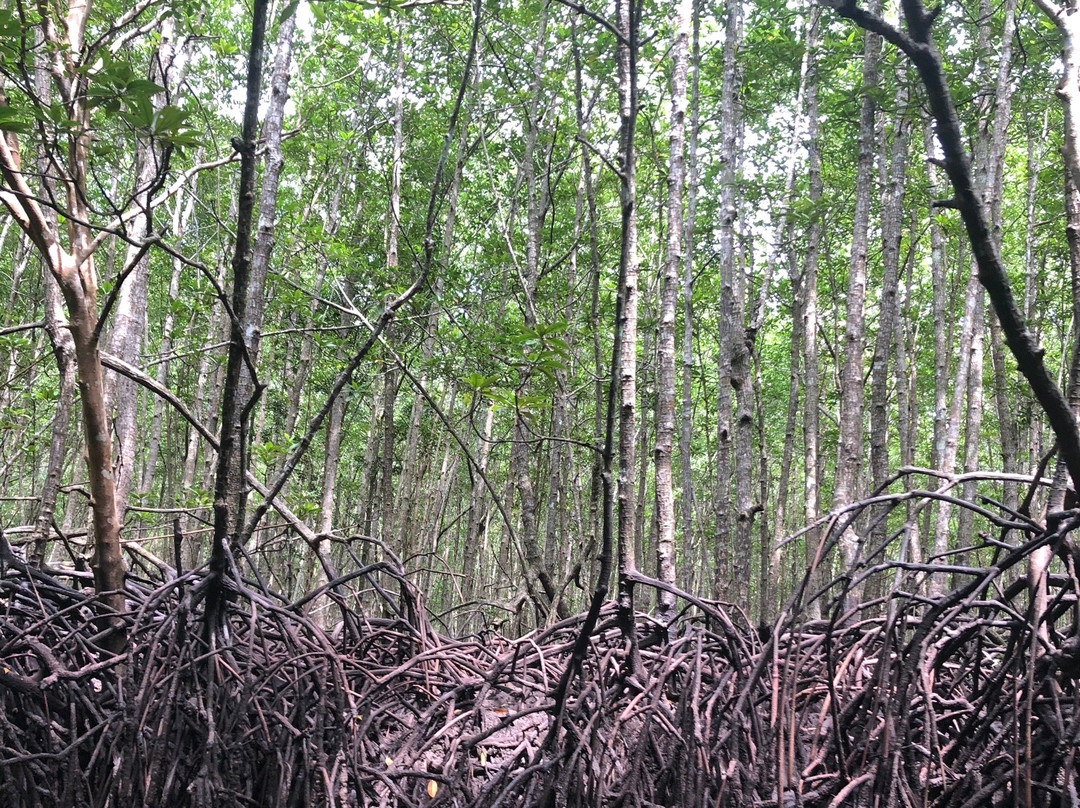 沓玲湾-甲米必去景点