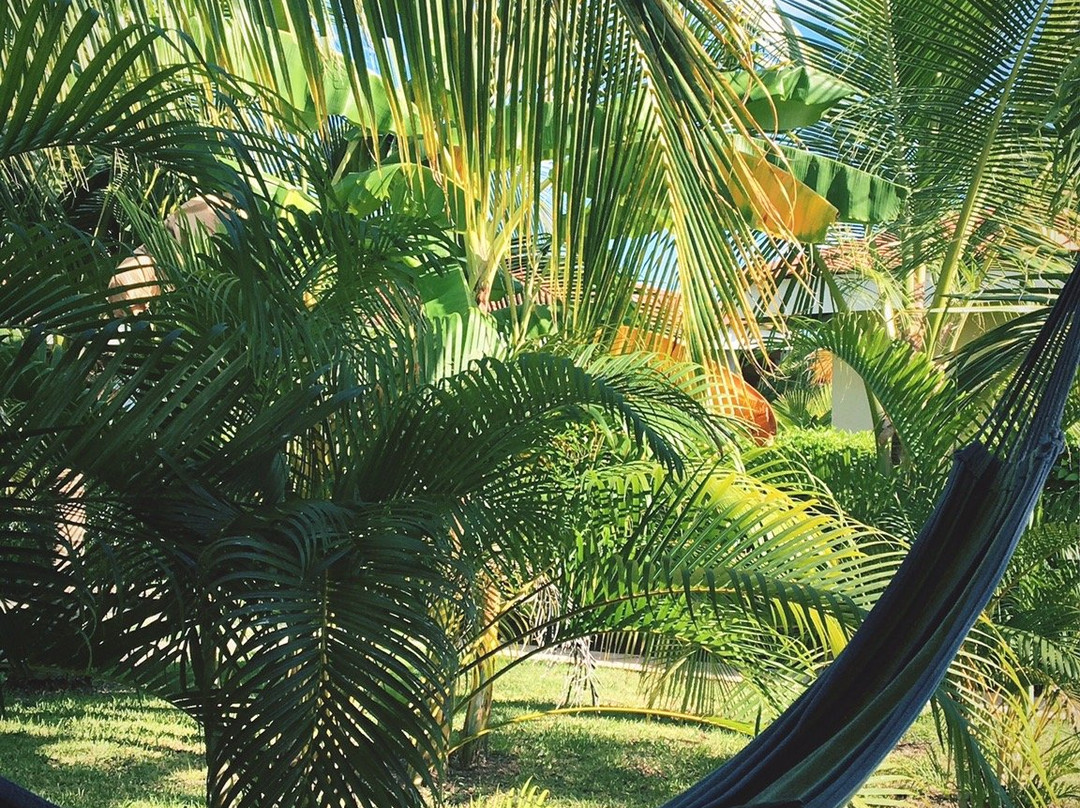 Sueño al Mar Residence & Hotel主图