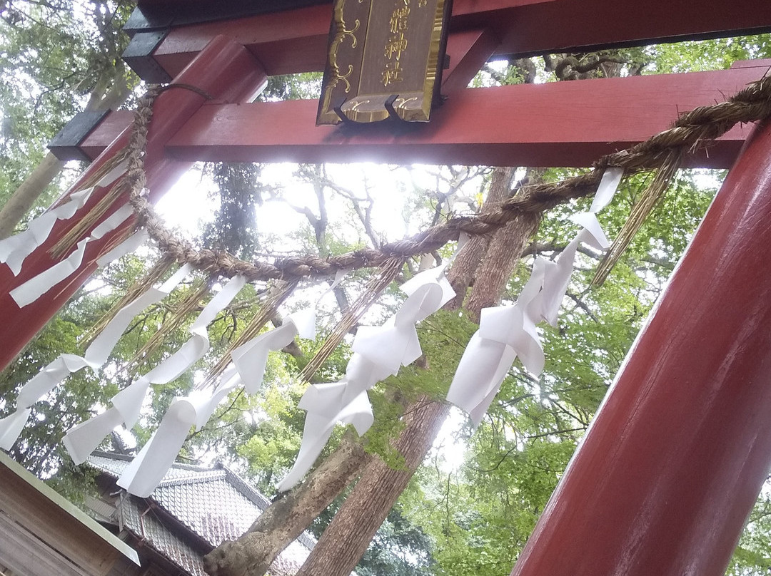 Hikawa Nyotai Shrine景点图片