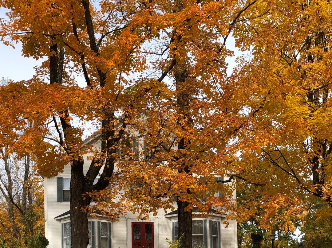 惠特科姆豪斯布里奇住宿加早餐酒店主图