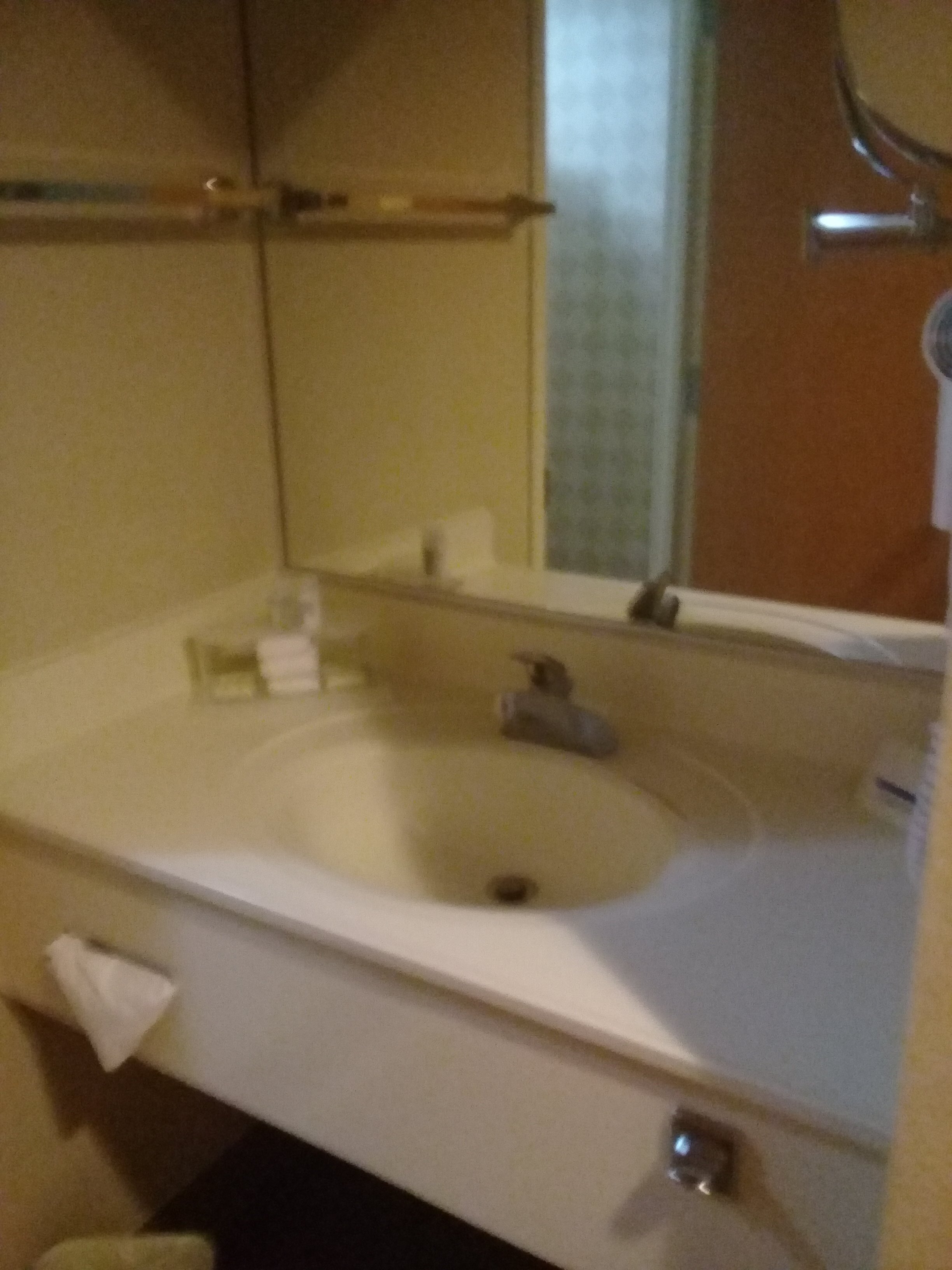 Holiday Inn Express Torreon By IHG-浴室