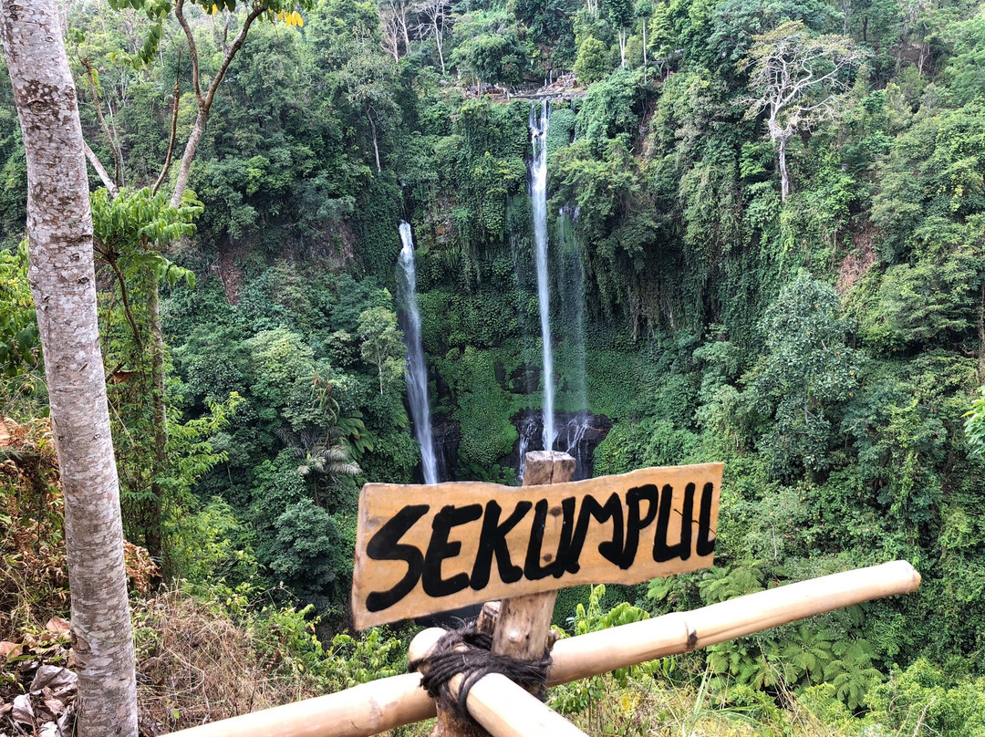 Fiji and sekumful waterfall trekking景点图片