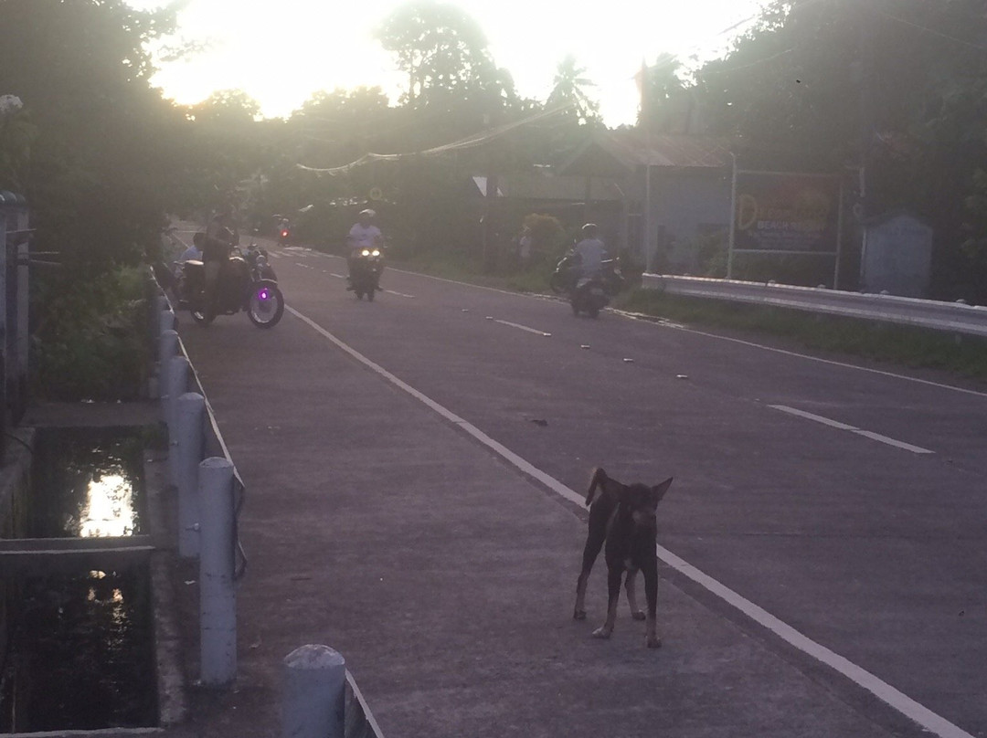 Pabua's Cottages主图