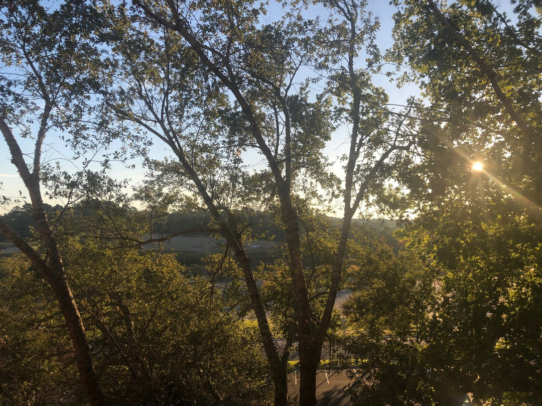 University Hotel at Sam Houston State主图