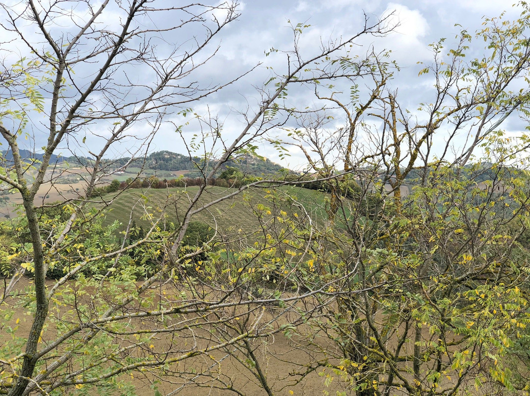 Country House Sant'Angiolino主图
