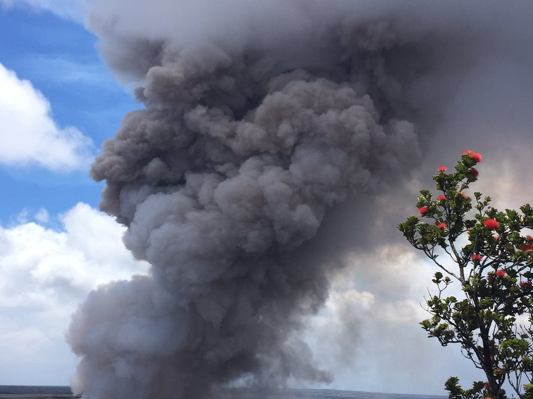 Miranda's Big Island Tours-欧卡拉必去景点