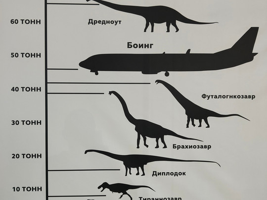 格乐丽雅购物商场-圣彼得堡必去景点