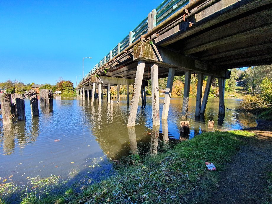 Kurt Cobain Memorial Park景点图片