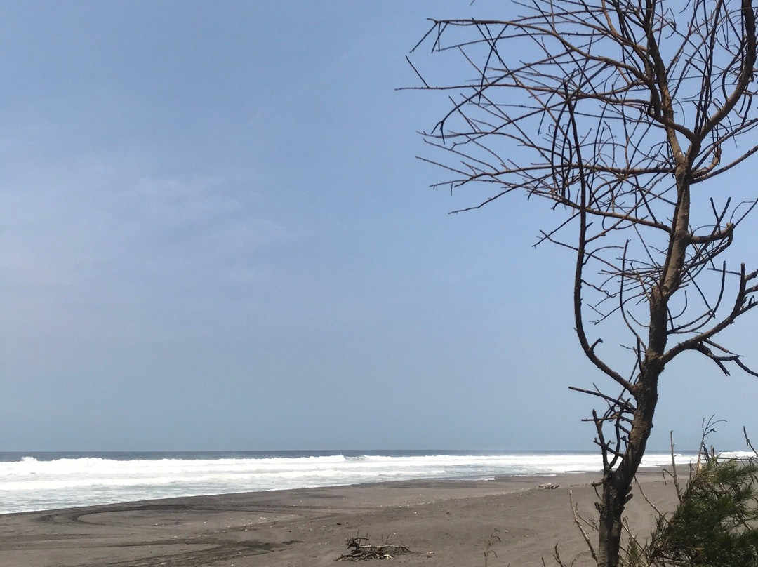 Cemara Sewu Beach景点图片