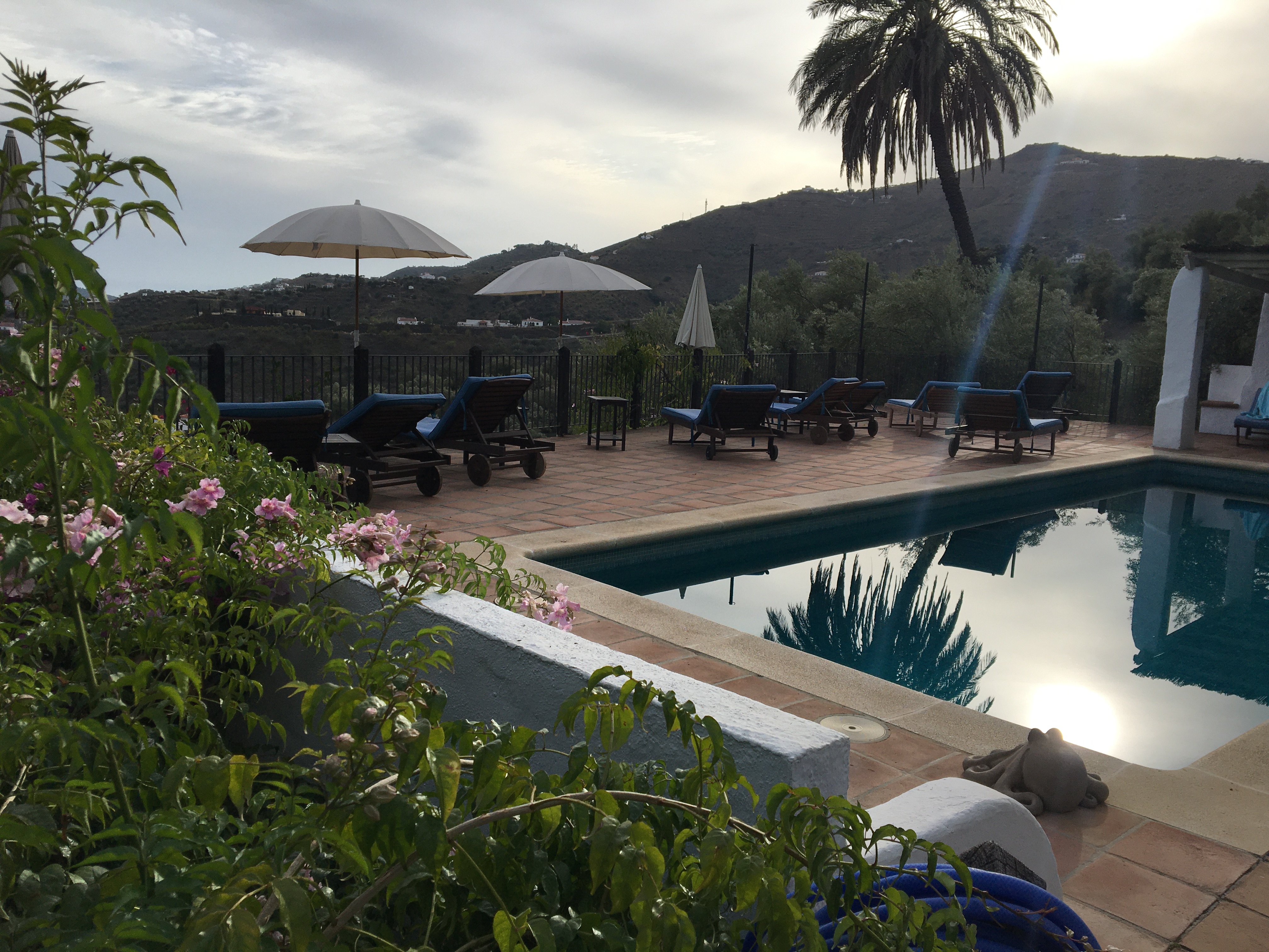 Finca el Cerrillo-泳池