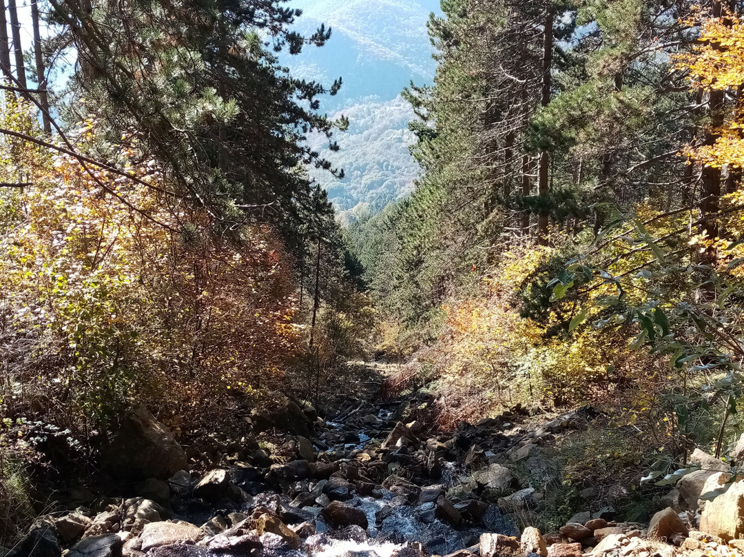 Villa dell'Arte主图