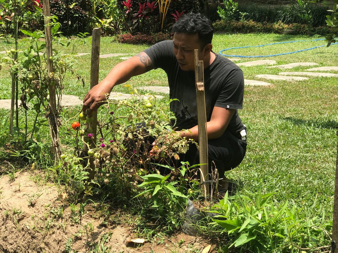 Umah Padi Bali Cooking Class-乌布必去景点